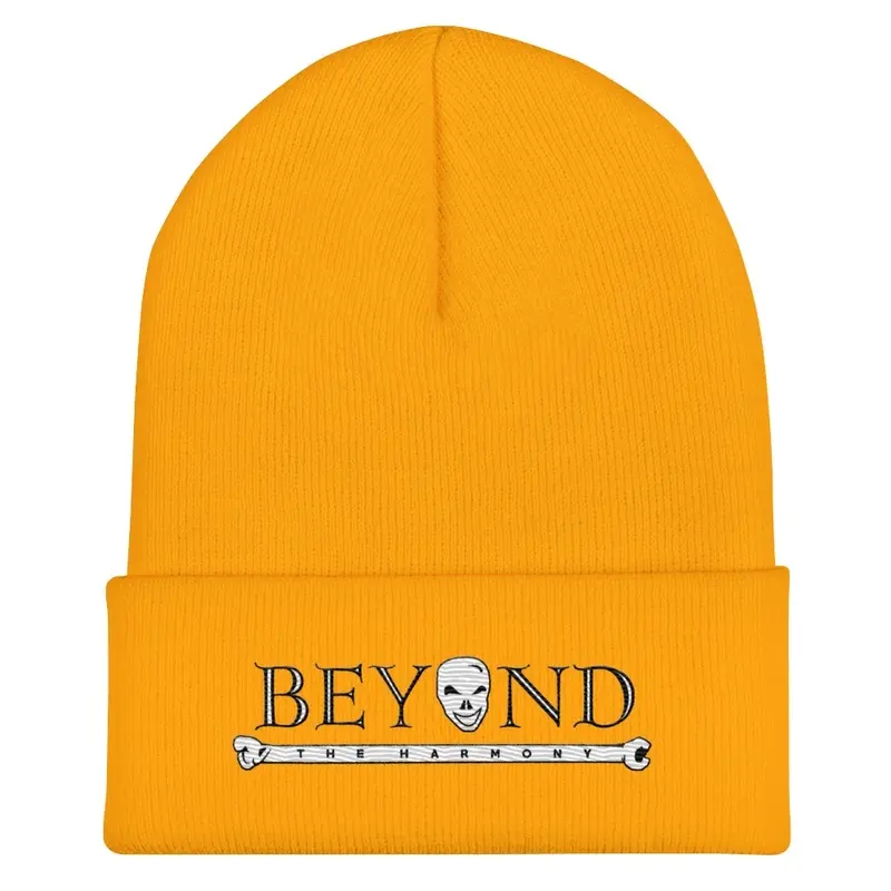 Beyond Enterprise Beanie